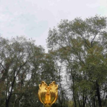 評論圖片 2