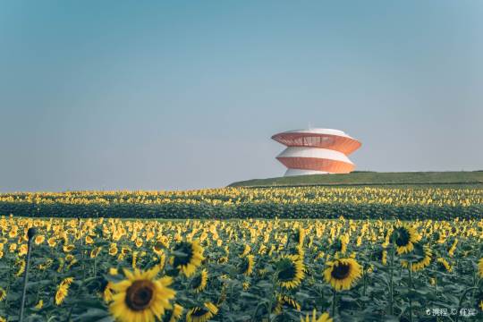 深圳光明歡樂田園一日遊