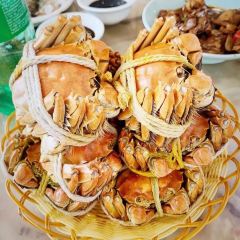 XIE TIAN XIE DI NONG JIA LE·YANG CHENG HU NONG JIA CAI ảnh của người dùng
