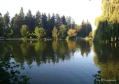 Spokane Manito Park