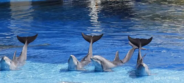 Make the Best Plan to Makapuu Lighthouse Trail in Honolulu