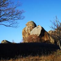 評論圖片 7