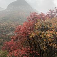 評論圖片 7