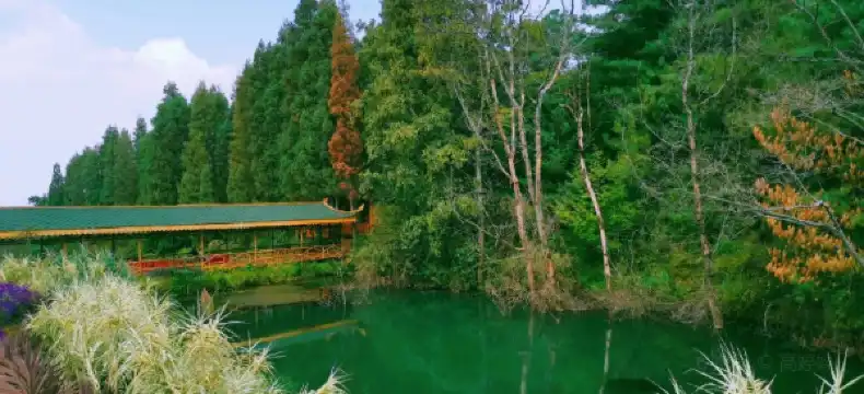 Hotels near Yunnan Business Vocational College