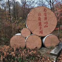 評論圖片 2