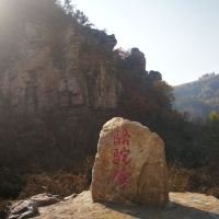 評論圖片 8