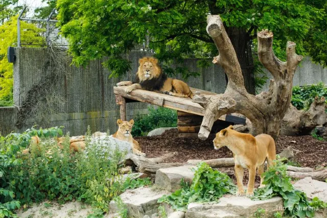 How to Make The Most of Your Visit to Copenhagen