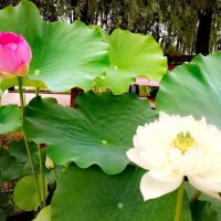 評論圖片 5