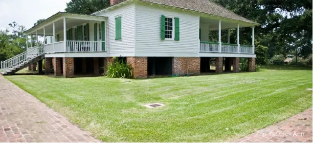 Top 12 Fun Things to do in Baton Rouge