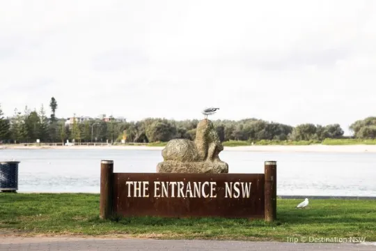 9 Nice Short Trips in Sydney