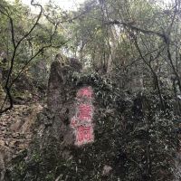 評論圖片 5