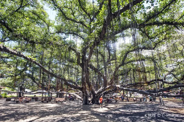 Six small towns in Hawaii