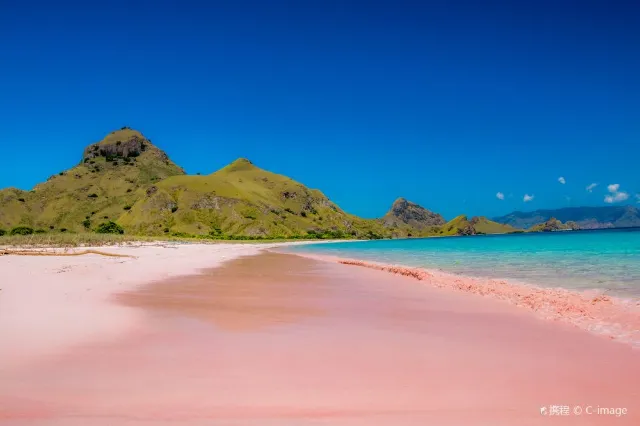 10 Rare and Beautiful Pink Sand Beaches around the World