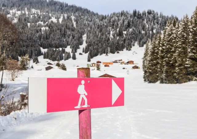 又是一年滑雪季!海外熱門滑雪地大盤點