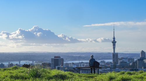 Auckland Domain