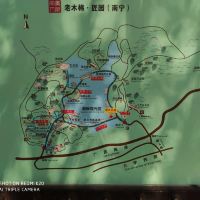 評論圖片 8
