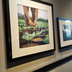 星巴克（無錫萬科運河外灘店）張用戶圖片