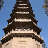 評論圖片 5