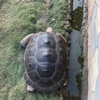 評論圖片 7