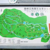 評論圖片 2