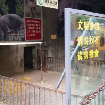 評論圖片 5