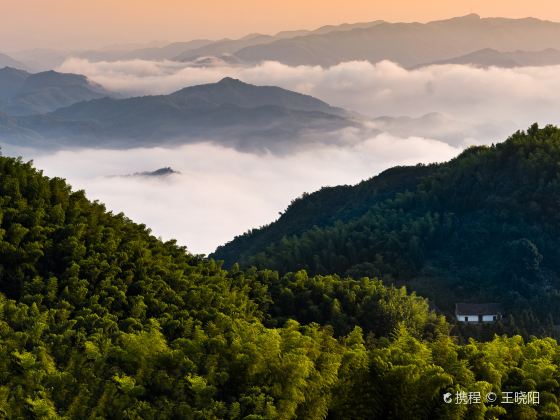 Dabie Mountains