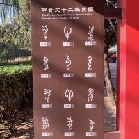 評論圖片 4