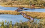 Yuwang Wetland