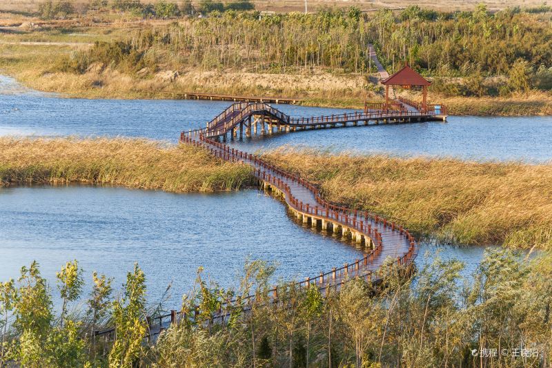 Yuwang Wetland