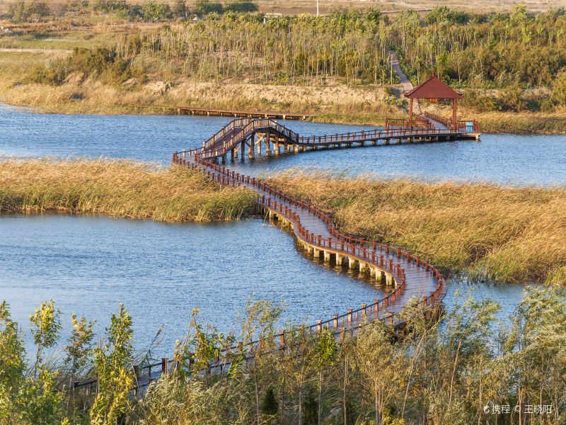 Yuwang Wetland