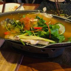 The Spice User Photo