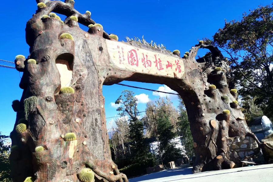 大理蒼山植物園