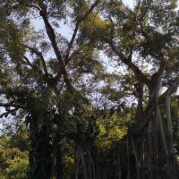 評論圖片 1
