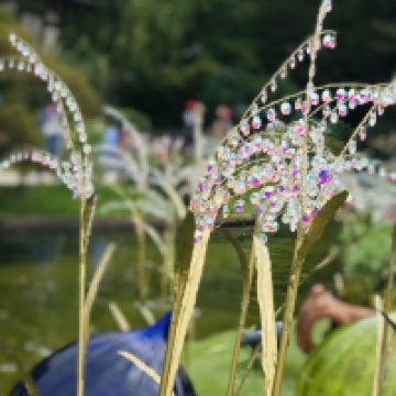 評論圖片 1