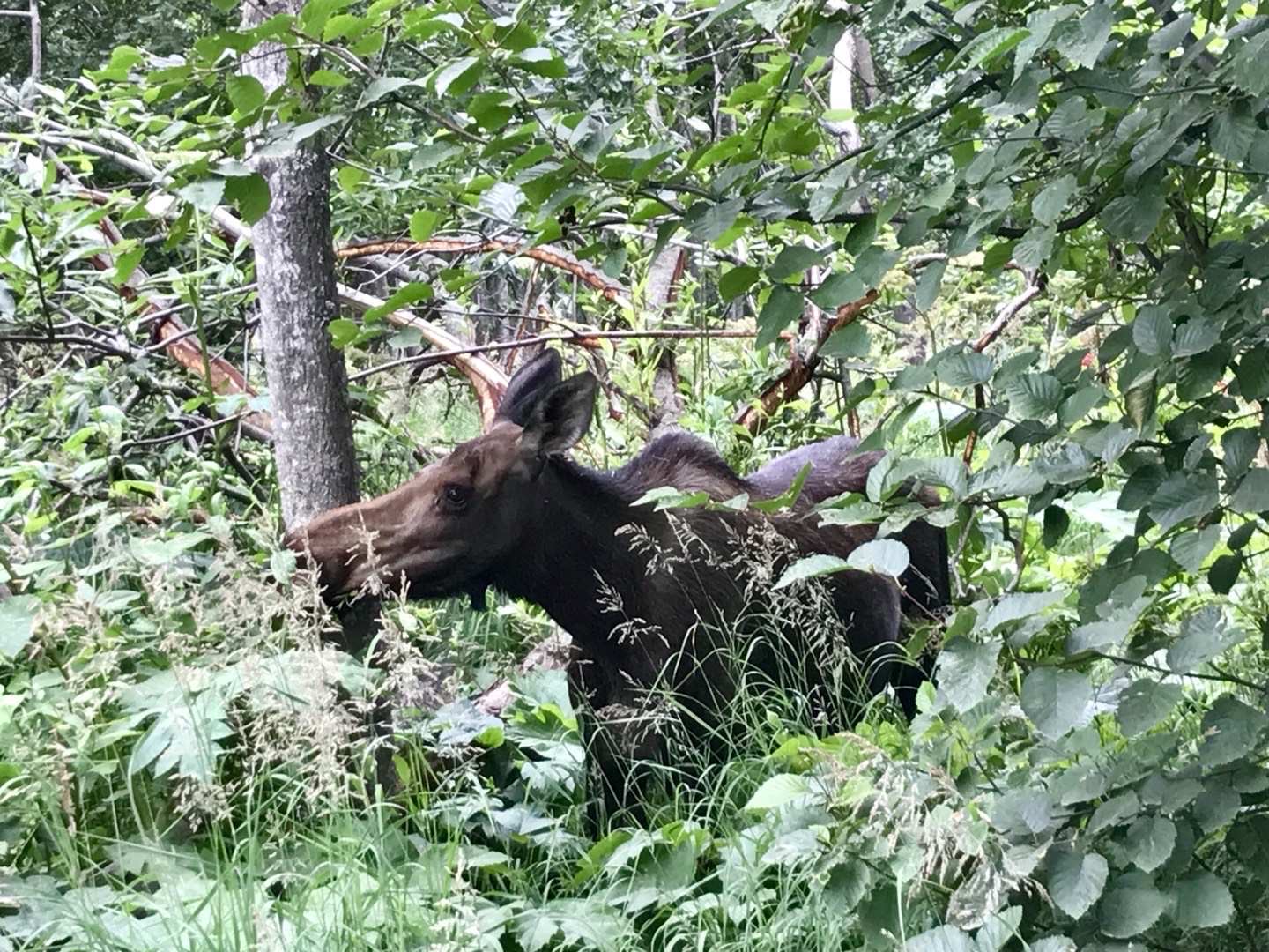 フェニックス動物園のレビュー フェニックス動物園のチケット フェニックス動物園の割引 フェニックス動物園の交通機関 所在地 営業時間 フェニックス動物園周辺の観光スポット ホテル グルメ Trip Com