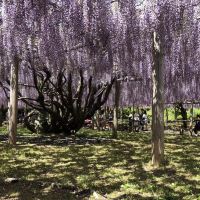 評論圖片 3