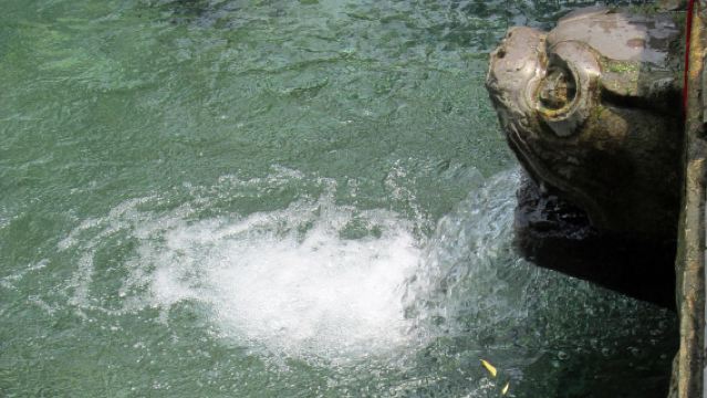 Jinan private guided one-day tour Baotu Spring Wulongtan Park Black Tiger Spring Daming Lake Qushuiting Street Baihuazhou Furong Street