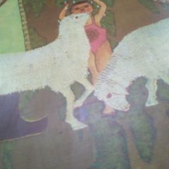 Bai Kui LaoHao Restaurant (Jiao DaoKou) User Photo