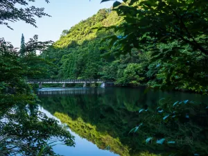 Ninghai Forest Hot Spring