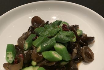 Shimmers用戶圖片