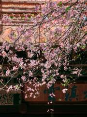 曇華寺公園