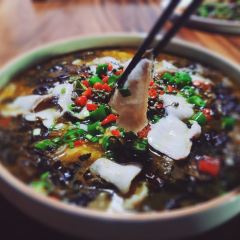 Chilli Loves Chinese Prickly Ash User Photo