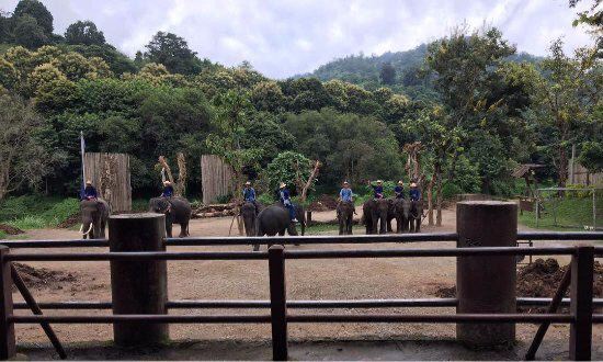 Meidan Elephant Camp