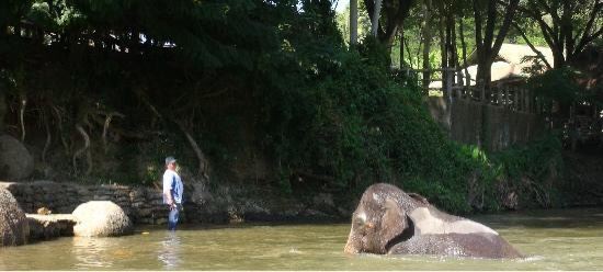 Meidan Elephant Camp