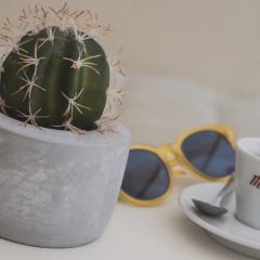 NonnAngé Bakery & Coffee - Cefalù User Photo