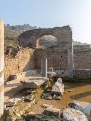 Roman Men's Toilets