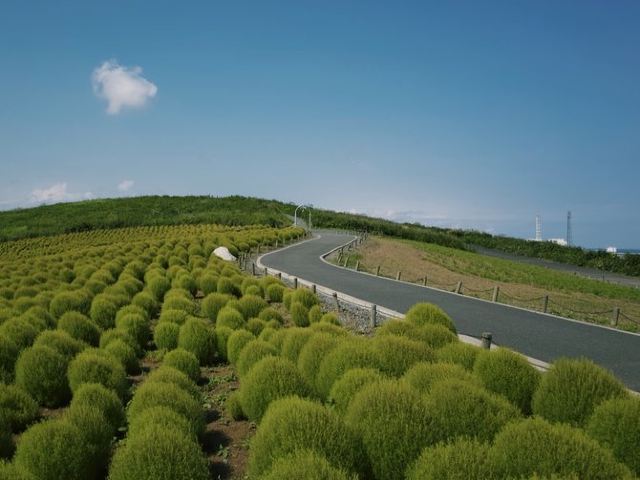 國營常陸海濱公園