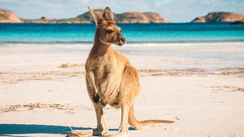 Cape Le Grand National Park