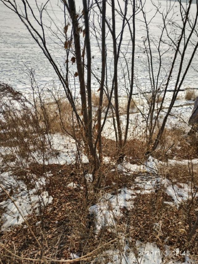 오리허공원