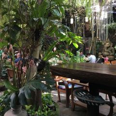 NAP Gastro Bar User Photo